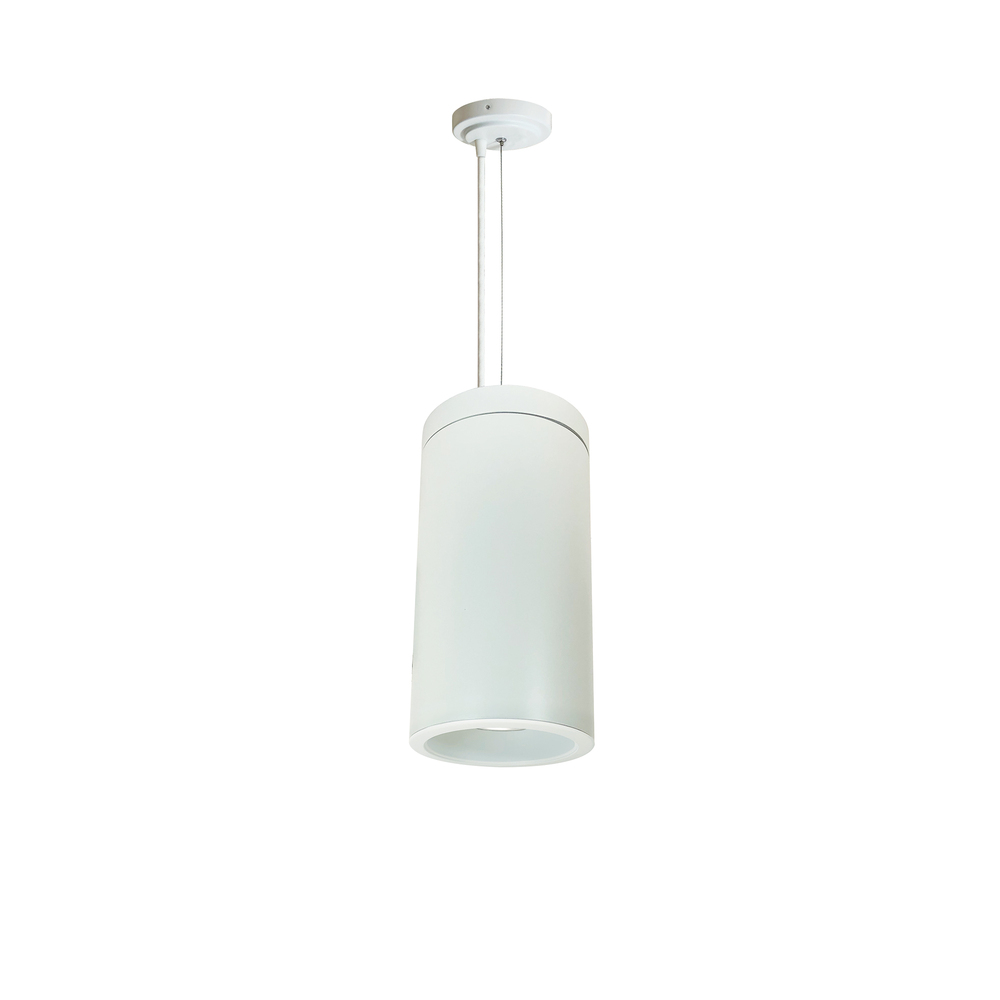 6" Cobalt Cable Mount Cylinder, White, 1000L, 3000K, White/White Reflector, 120V Triac/ELV