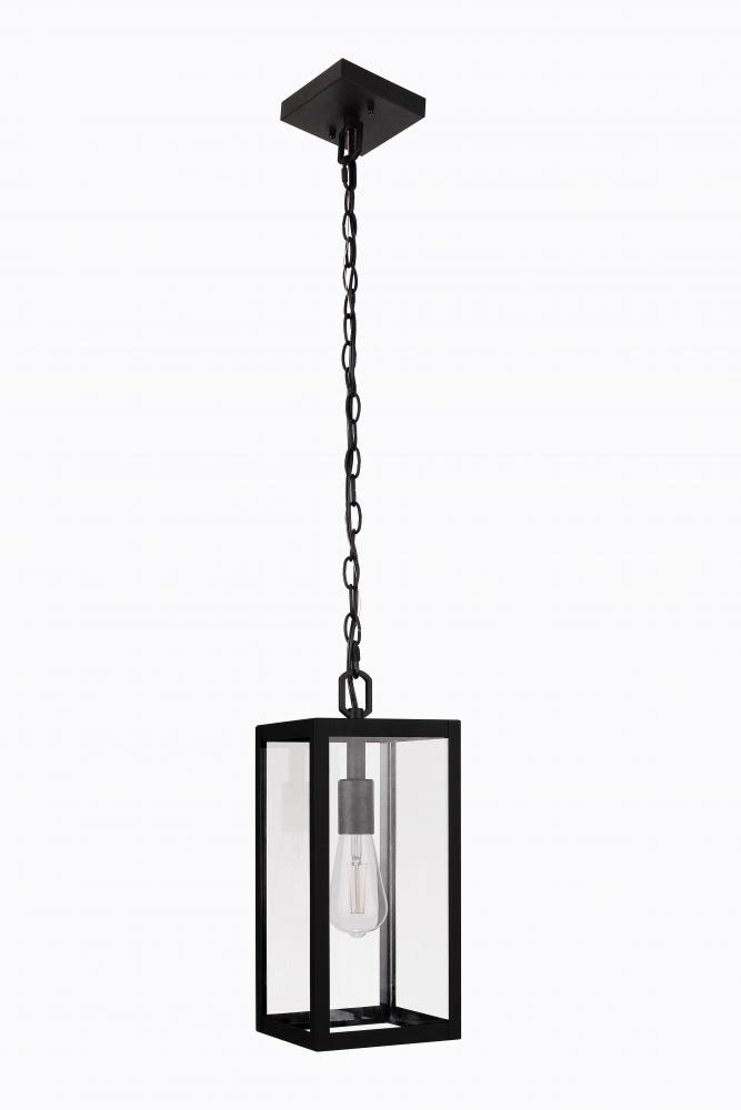 1 Light Pendant