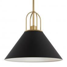 Hunter 13165 - Hunter Carrington Isle Flat Matte Black and Luxe Gold 1 Light Pendant Ceiling Light Fixture