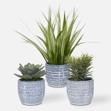 Uttermost 60192 - Uttermost Puebla Greenery In Blue & White Pots Set/3